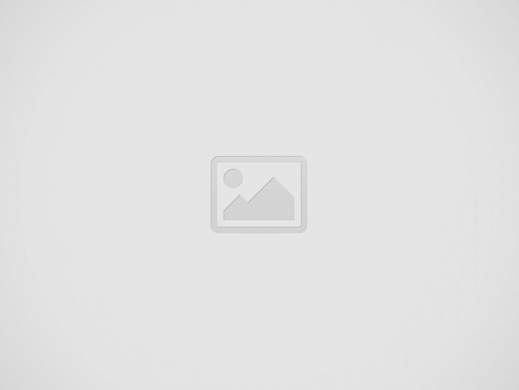 Leovegas En Son Güncel Adresi Nedir